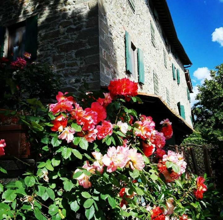 Podere I Rovai-Apt Il Rifugio- In The Heart Of Tuscany レッジェッロ エクステリア 写真