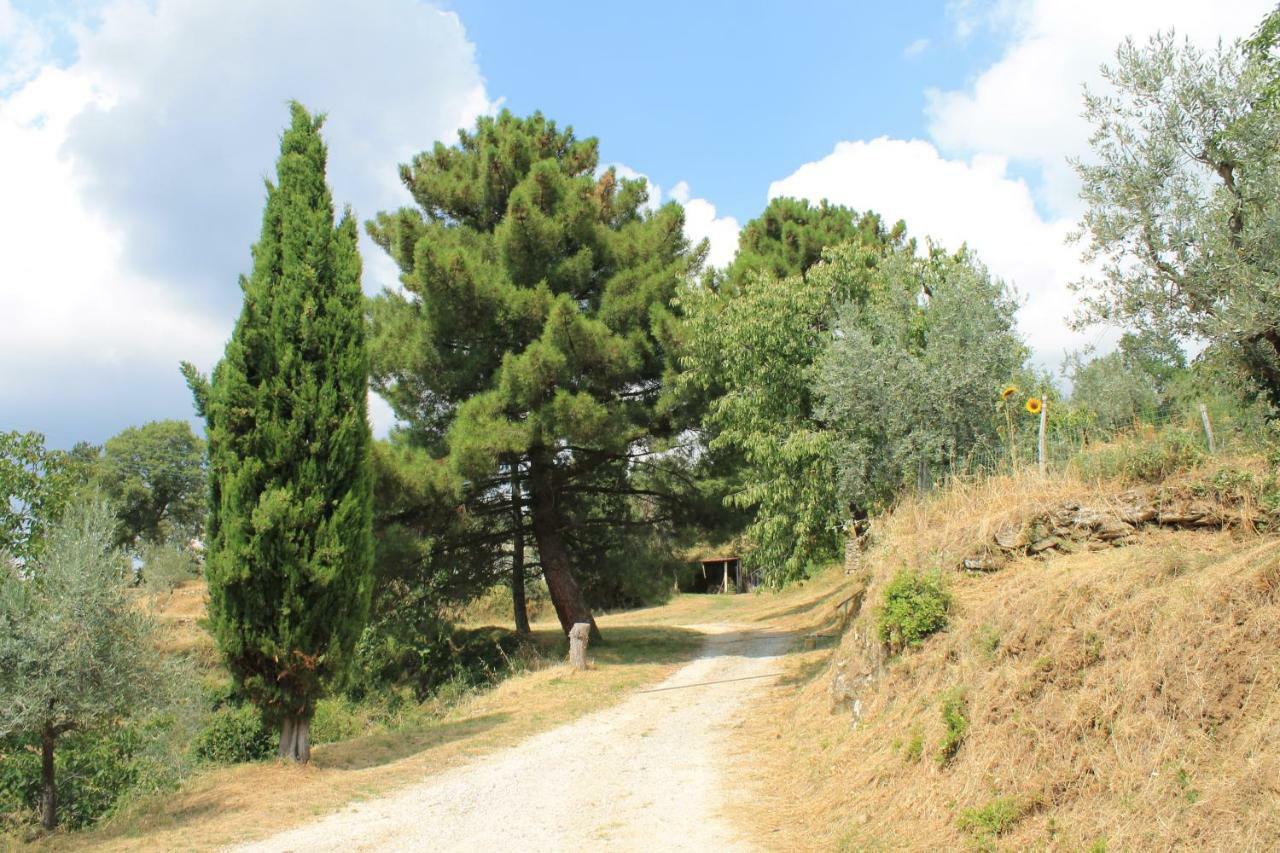 Podere I Rovai-Apt Il Rifugio- In The Heart Of Tuscany レッジェッロ エクステリア 写真