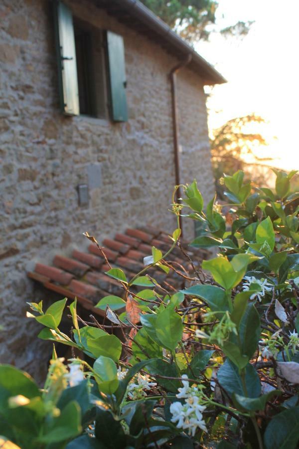 Podere I Rovai-Apt Il Rifugio- In The Heart Of Tuscany レッジェッロ エクステリア 写真