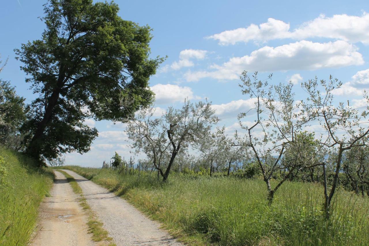 Podere I Rovai-Apt Il Rifugio- In The Heart Of Tuscany レッジェッロ エクステリア 写真